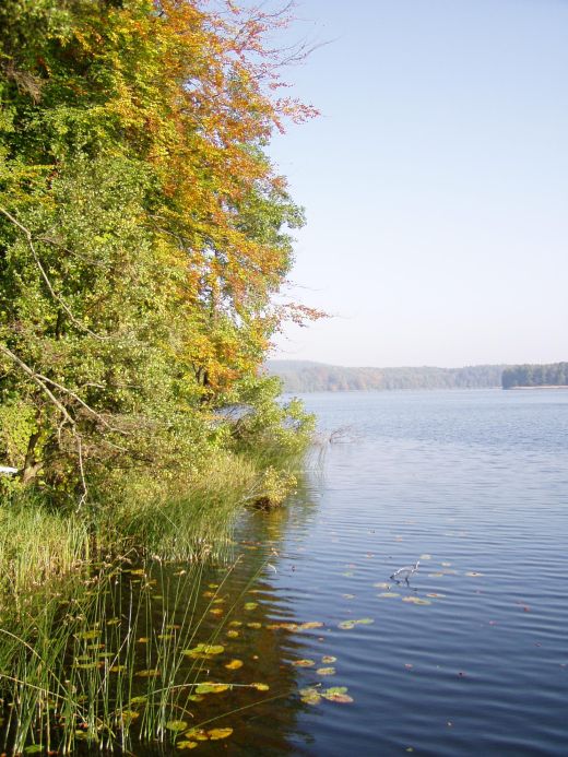 Jezioro Lubniewsko
